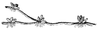 root_5_sm.gif