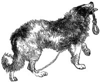 stylized-dog_1_lg.gif