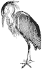 heron_3_th.gif