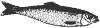 herring_1_th.gif