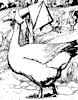goose_3_th.gif