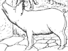 pig_3_th.gif