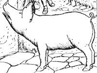 pig_3_sm.gif