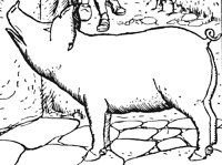 pig_3_lg.gif
