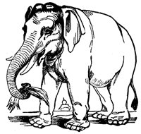 elephant_3_lg.gif