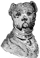 dog_5_lg.gif