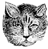 cat_4_th.gif
