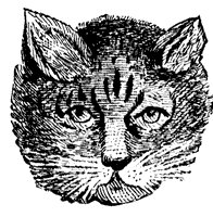 cat_4_sm.gif