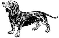 dog_7_sm.gif