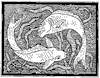 fish-design_1_th.gif