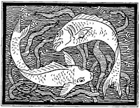 fish-design_1_sm.gif