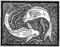 fish-design_1_md.gif