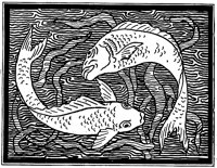 fish-design_1_lg.gif