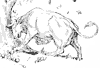 miss-cow_1_th.gif