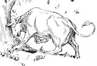 miss-cow_1_sm.gif