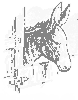 donkey_2_th.gif