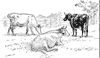 cows_1_th.gif
