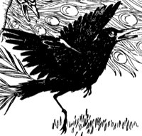 jackdaw_1_lg.gif