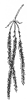 shellbk-hickory-flower_1_th.gif