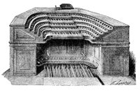 organ_2_lg.gif