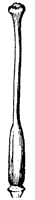 morning-glory-pistil_1_sm.gif