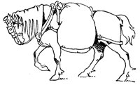 horse_3_lg.gif
