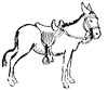donkey_13_th.gif