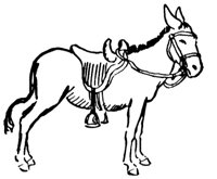 donkey_13_md.gif
