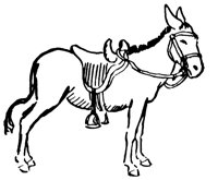 donkey_13_lg.gif
