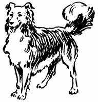dog_11_sm.gif