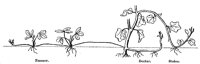 runner_1_lg.gif