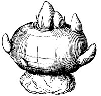 corm_1_sm.gif