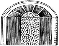 woody-stem_2_lg.gif