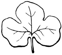 parted-leaf_1_lg.gif