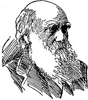darwin_2_sm.gif