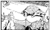 hare&tortoise_1_th.gif
