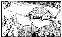 hare&tortoise_1_sm.gif