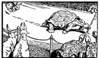hare&tortoise_1_md.gif