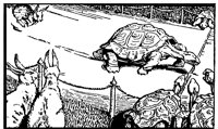 hare&tortoise_1_lg.gif