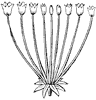 umbel_1_th.gif