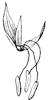 flower_6_th.gif