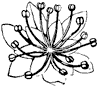 flower_7_th.gif