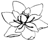 flower_8_th.gif