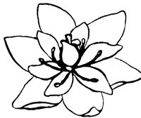 flower_8_lg.gif