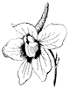 flower_9_th.gif