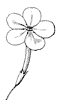 flower_18_th.gif