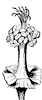 flower_22_th.gif