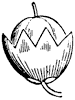 pod_5_th.gif