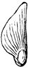 scale_2_th.gif