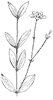 flower_31_th.gif